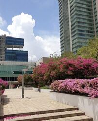 Toa Payoh Central (D12), Shop House #612389111